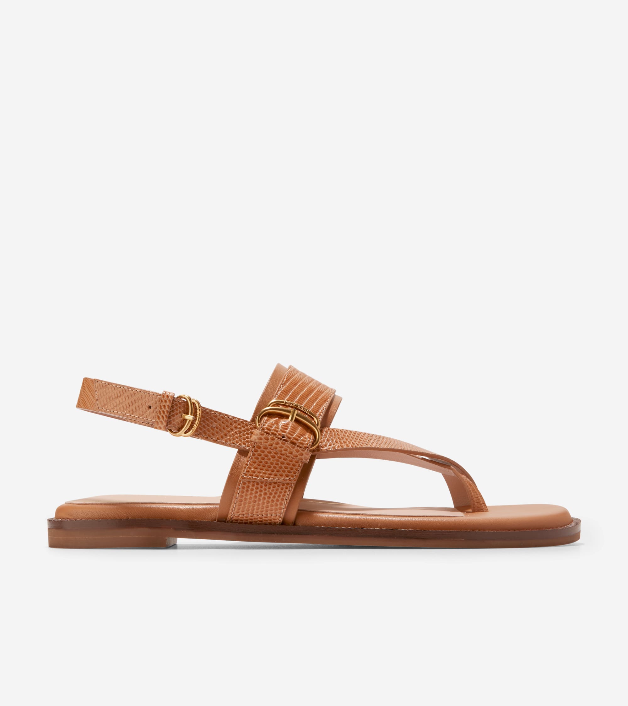 Women's Anica Lux Buckle Sandals – Cole Haan