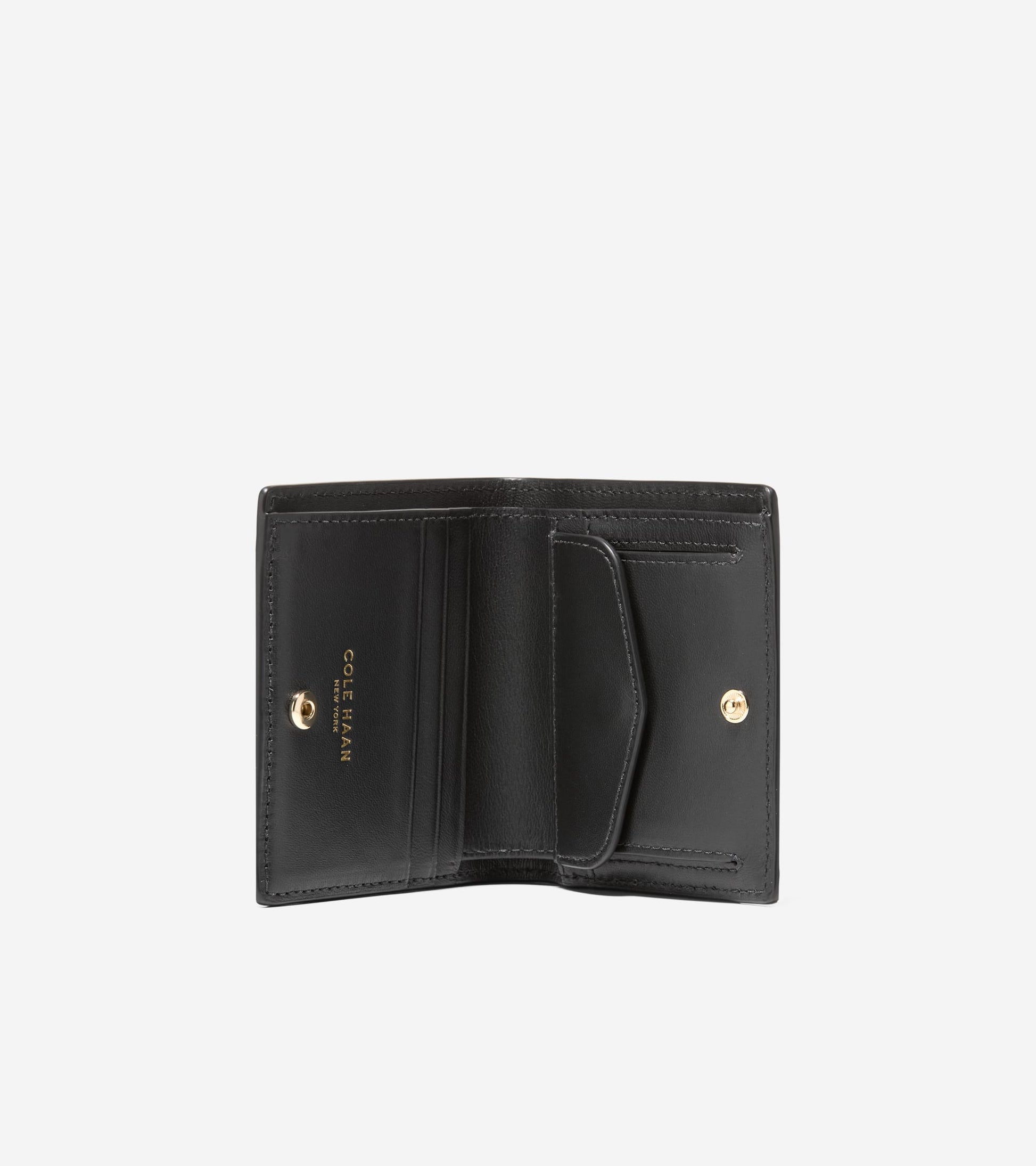 U08209:BLACK:0000