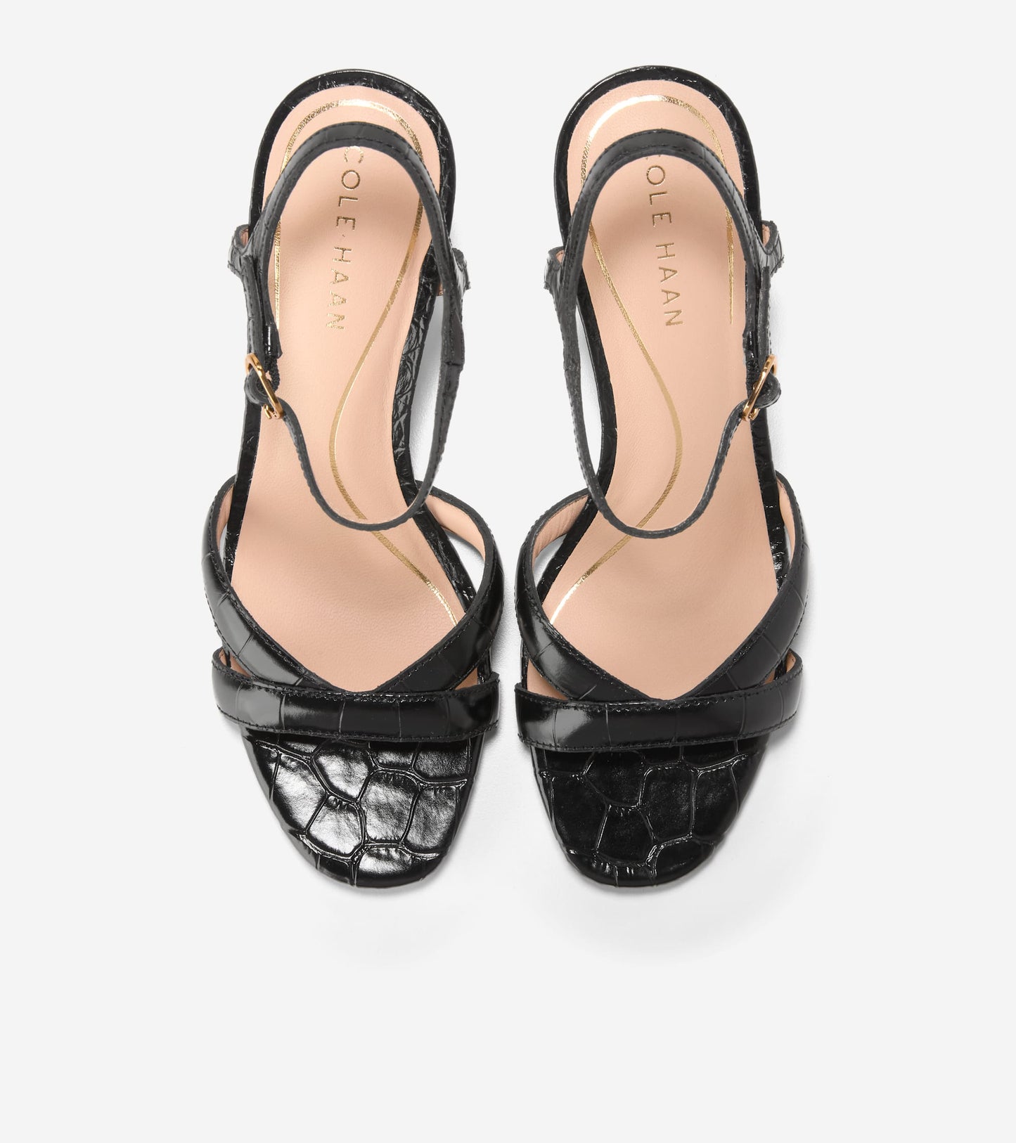 W34656:BLACK CROC PRINT LEATHER