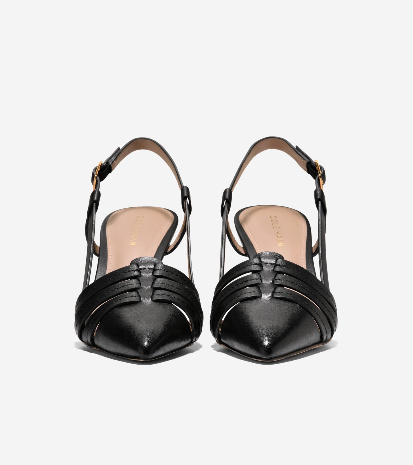 W33331:BLACK LTR
