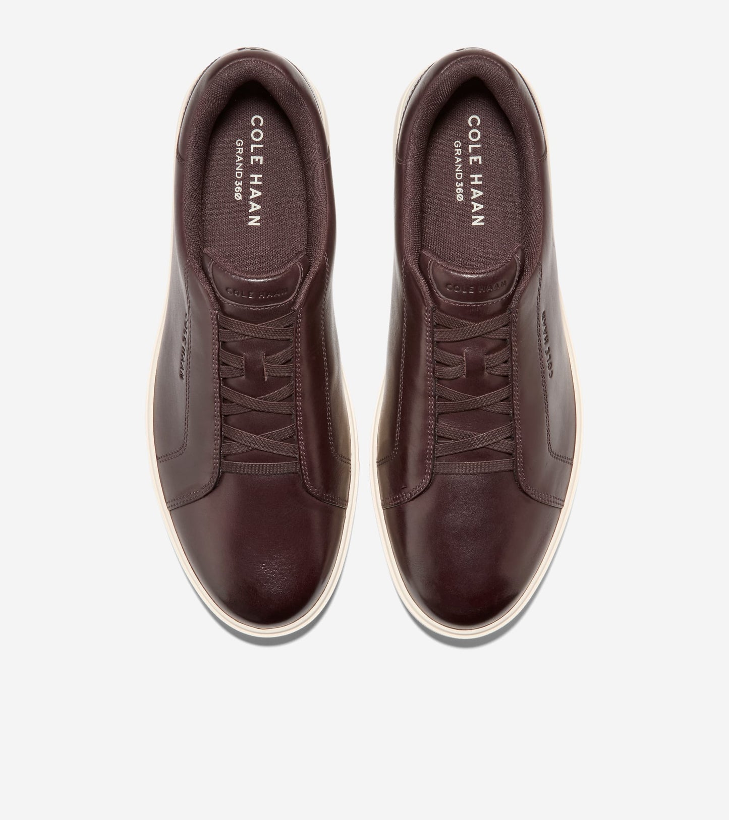 C41185:CH DK CHOCOLATE / IVORY