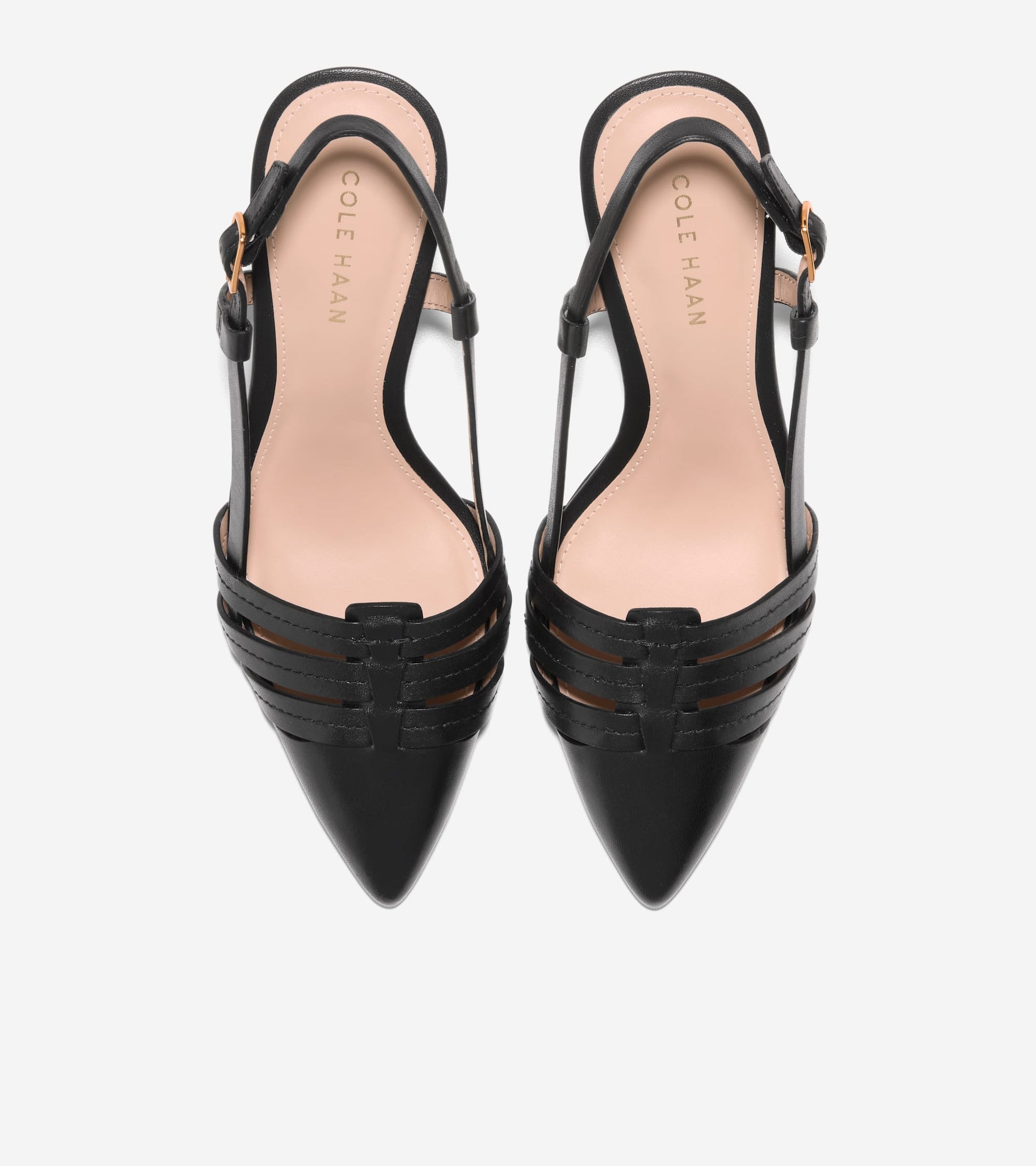 W33331:BLACK LTR
